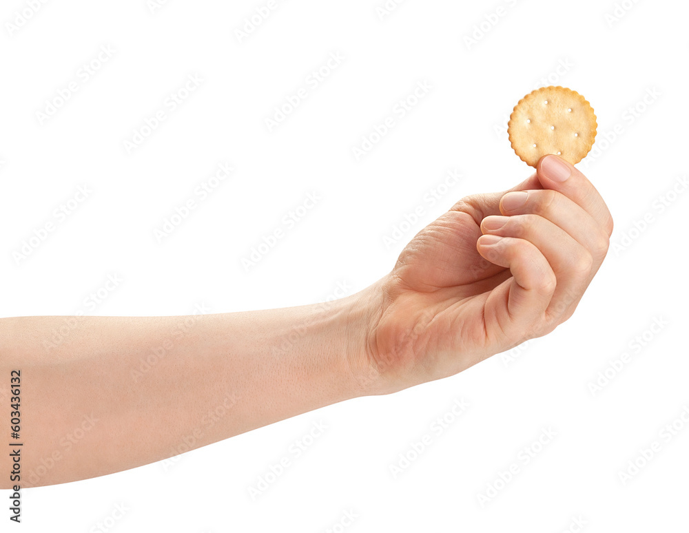 round cracker in hand path isolated on white round cracker in hand path isolated on white