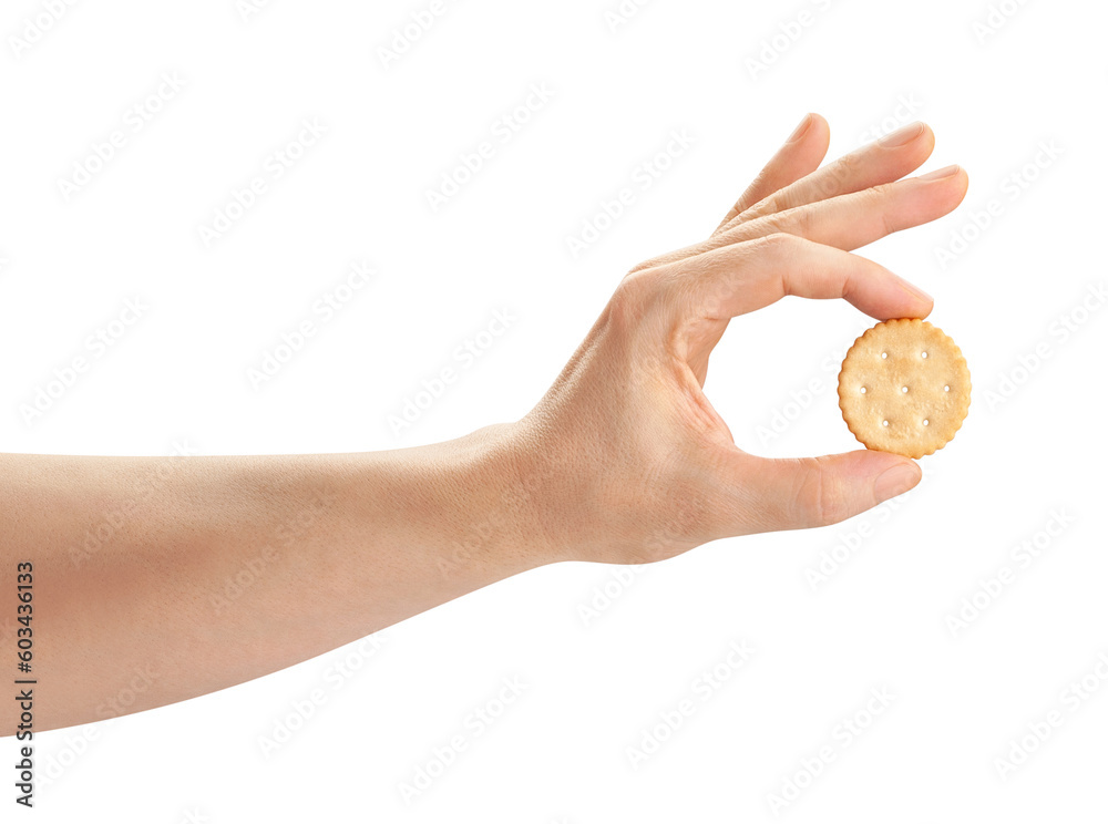 round cracker in hand path isolated on white round cracker in hand path isolated on white
