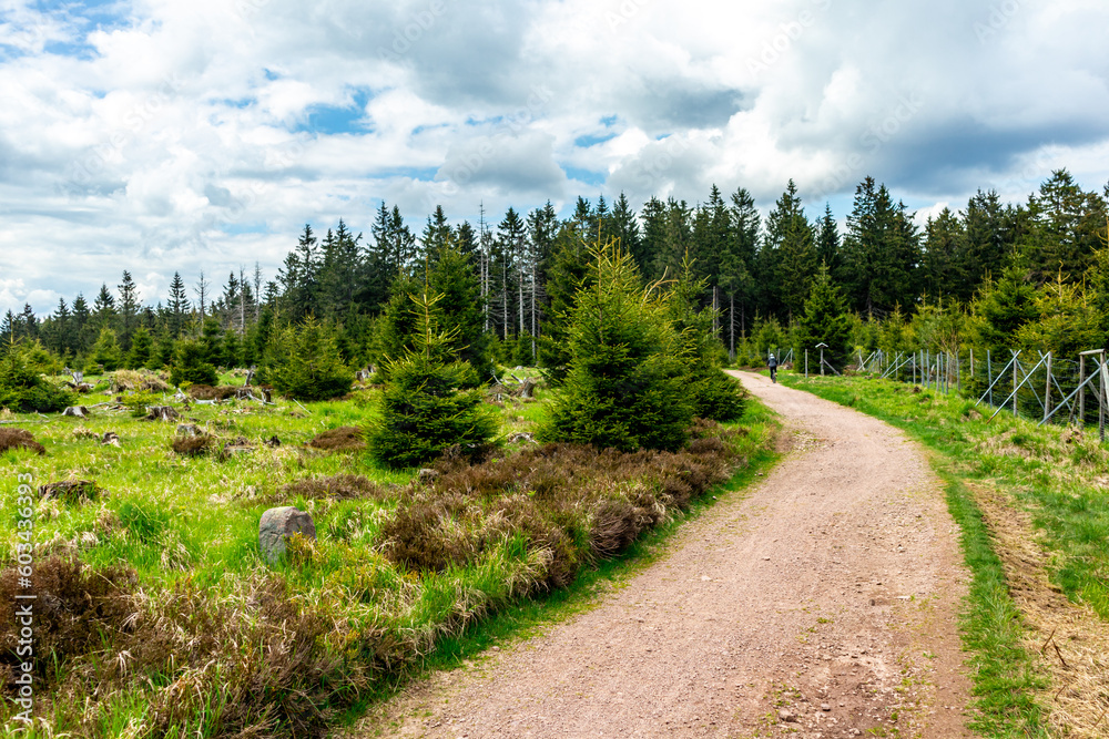 Erste Schritte auf dem Rennsteig zwischen Hörschel und Blankenstein im schönen Frühling - Thüringen - Deutschland
