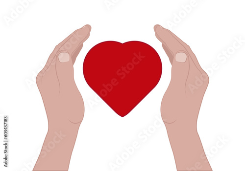 Manos sosteniendo un corazón en fondo blanco.