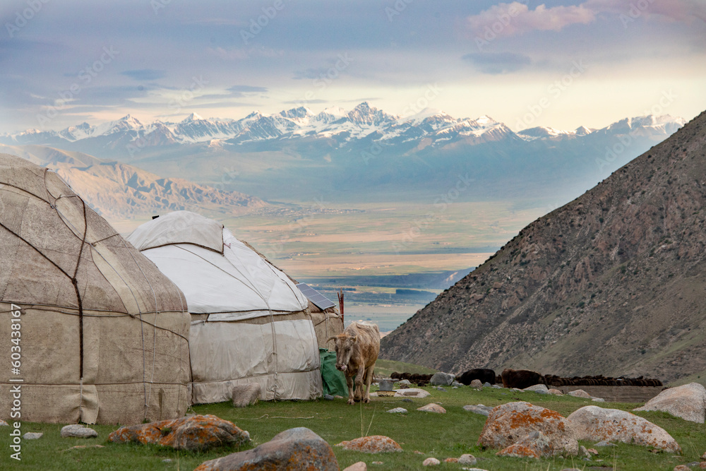 Kyrgyz traditional yurts in a high mountain valley near Kol-Ukok in the Tian Shan mountains of Kyrgyzstan at sunrise.