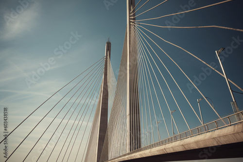 High-resolution photograph of a suspension bridge, emphasizing the structural integrity and elegant design Generative AI