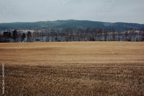 a field with trees and a hill in the background