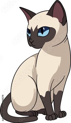 Siamese cat cute