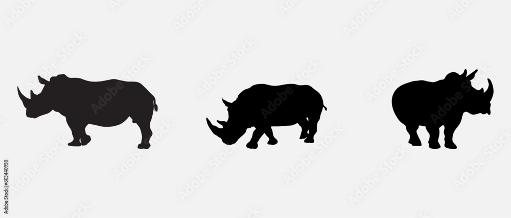 Obraz premium isolated black silhouette of a rhinoceros , vector collection
