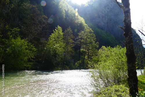 Die Enns bei Hieflau photo