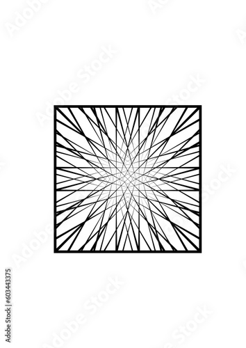 quadratische fläche gefüllt mit einem komplexen netz von strahlenförmigen schwarzen linien, modern art
