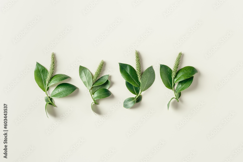 Obraz premium Set of spring tree branches with new green leaves and catkins. Top view young sprouts of tree on beige Botanical design minimal pattern, beauty nature aesthetic flat lay, ecology concept