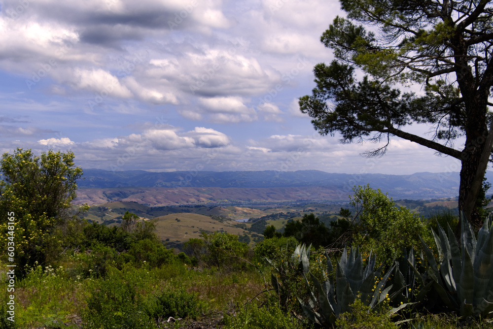 Scenic View of Calero