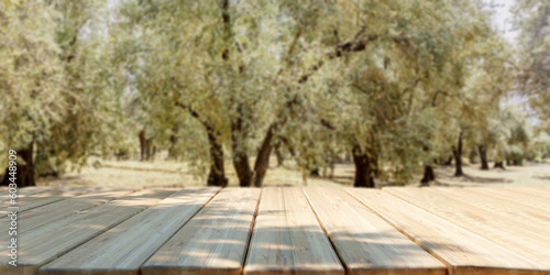 Empty wooden table, olive trees grove background, template.