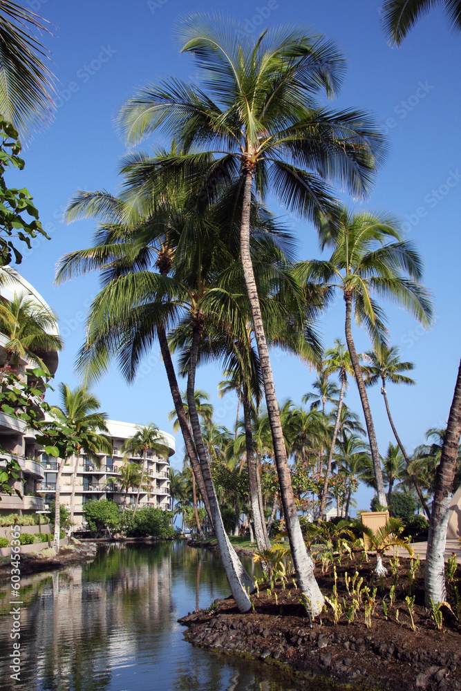 A tropical resort on Big Island, Hawaii