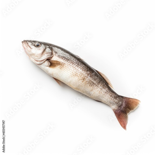 Mullet fish isolated on white. Generative AI