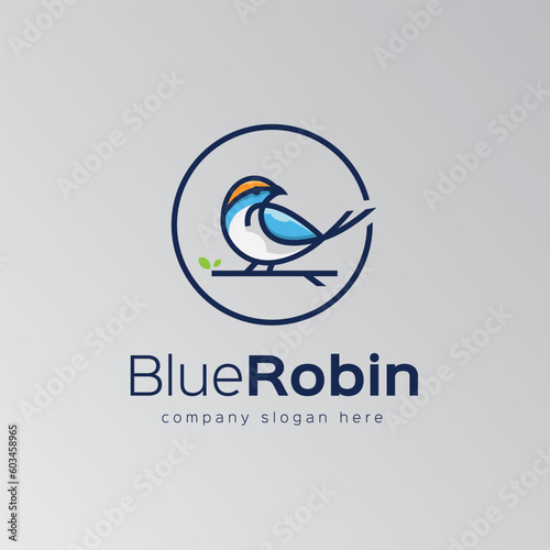 blue robin logo template, colorful bird logo design, sitting robin bird logo vector art for business, line art robin