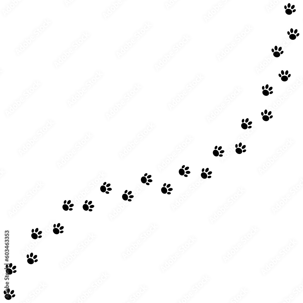 Paw foot trail print on transparent background