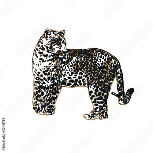  color sketch of leopard with transparent background © Sukma