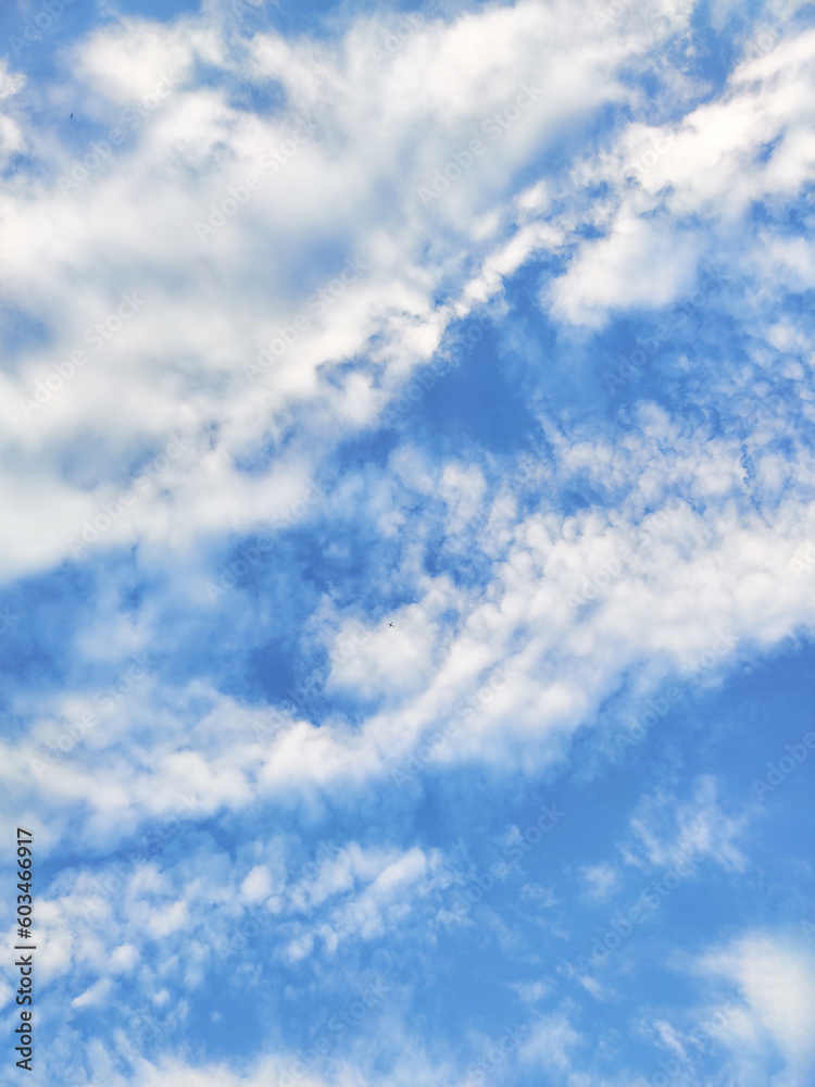 Fototapeta premium Vector business id card template with minimalist elements