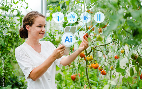 Artificial intelligence technologies in agriculture, smart farming, tomatoes greenhouse.