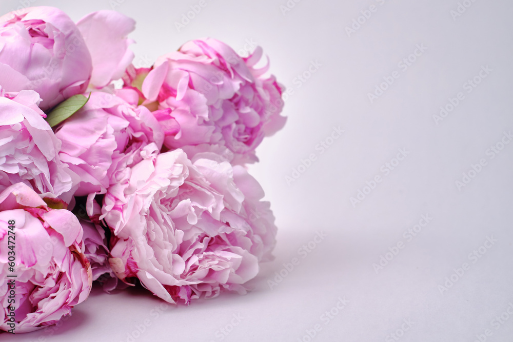 Bouquet of stylish peonies close-up. Pink peony flowers. Close-up of flower petals. Floral greeting card or wallpaper. Delicate abstract floral pastel background. Card Concept, copy space for text