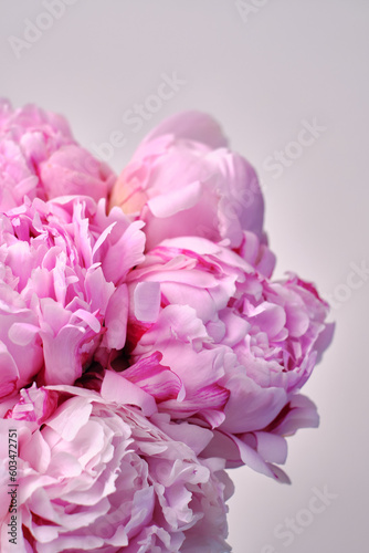 Bouquet of stylish peonies close-up. Pink peony flowers. Close-up of flower petals. Floral greeting card or wallpaper. Delicate abstract floral pastel background. Card Concept, copy space for text