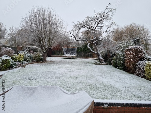 Garden in the Winter - Waiting for Spring