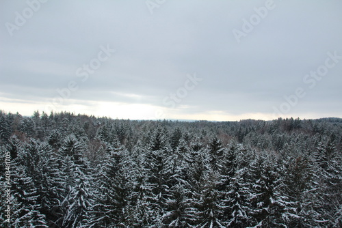 Ein Schneebedeckter Tannenwald aufgenommen aus der Luftperspektive von oben