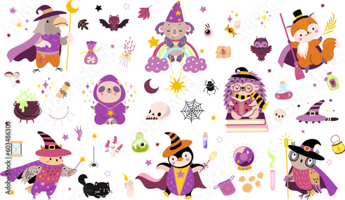 Wizard animals and magic elements. Isolated fantasy witch, wizards in mantle and hats. Poison bottles, magical game nowaday vector clipart