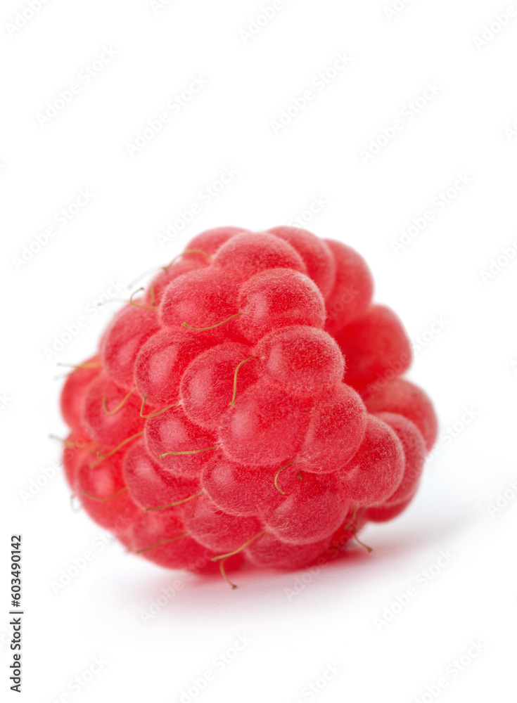 Raspberry single on white background Raspberry single on white background
