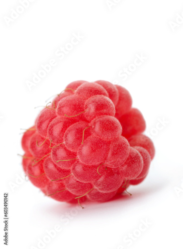 Raspberry single on white background