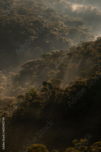 Amanhecer nas montanhas da floresta do Bioma da Mata Atlântica preservada na Serra da Mantiqueira, Minas Gerais © Fagner Martins