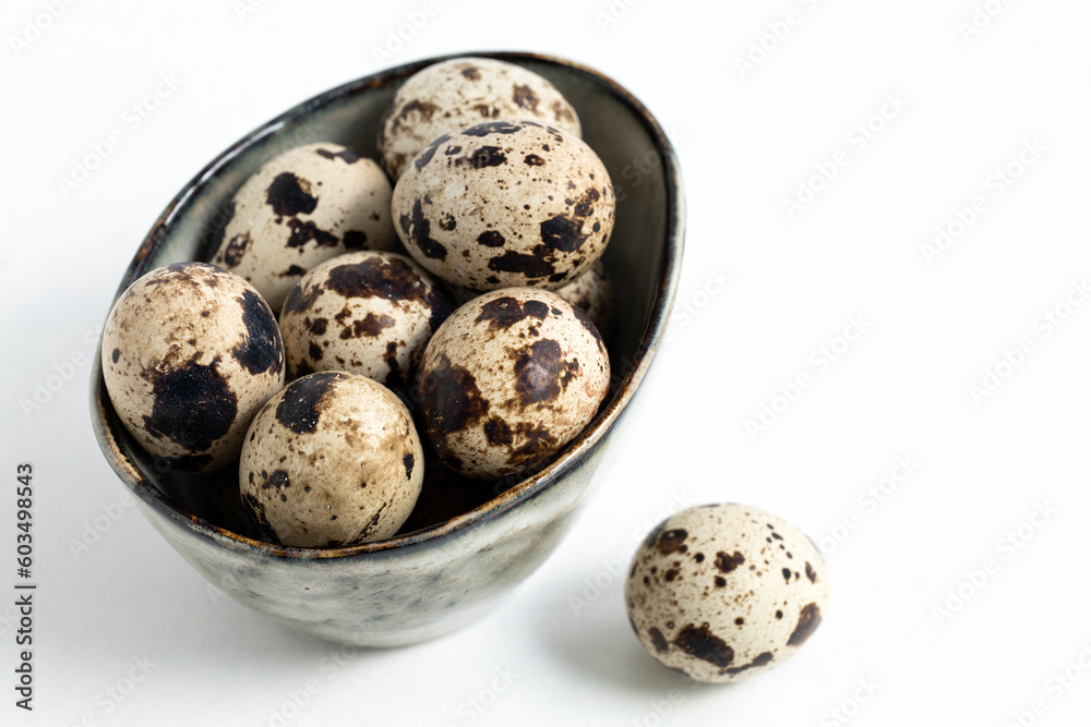 Obraz premium Frische, rohe Wachteleier