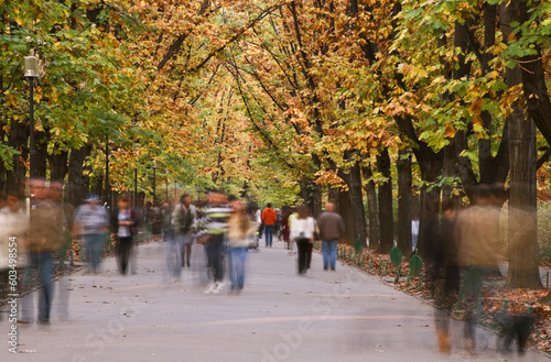 Wall Mural Blurred image of people walking in an autumn park.