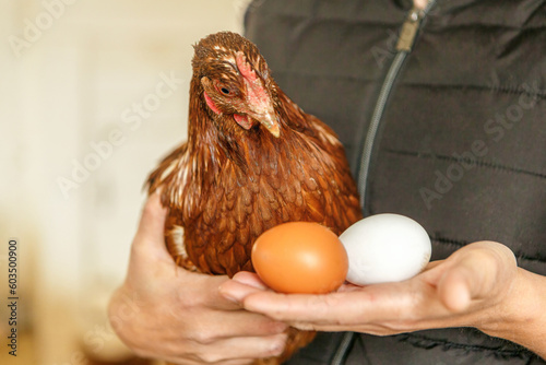 A female farmer holding a hen and eggs in a henhouse
