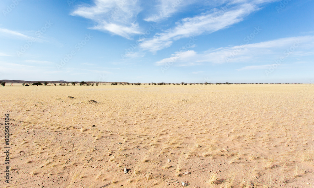 View of a desert landscape