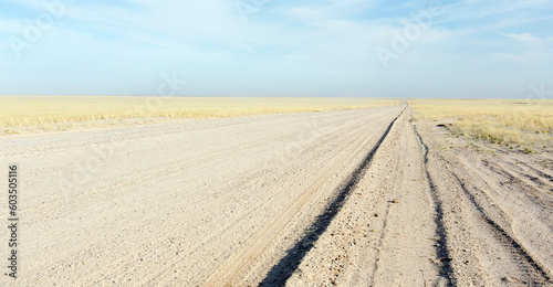 View of a desert landscape