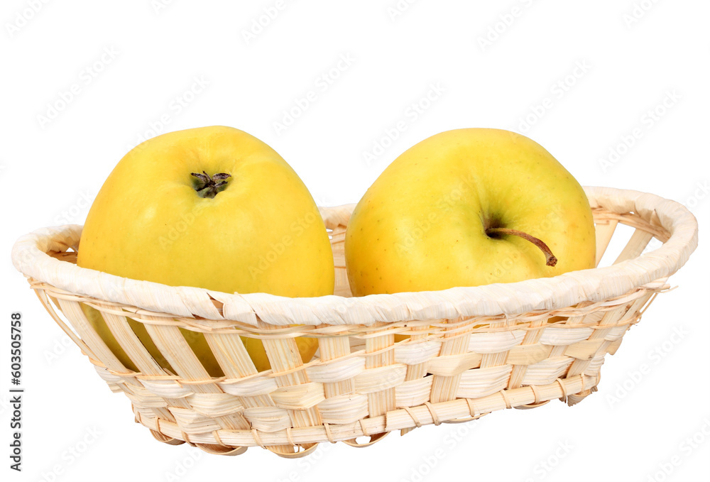 Two yellow apples in basket. Isolated on white background. Close-up. Studio photography. Two yellow apples in basket. Isolated on white background. Close-up. Studio photography.