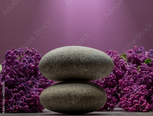 gray zen stone and purple lilac branch with flowers for product stand background podium on lilac background