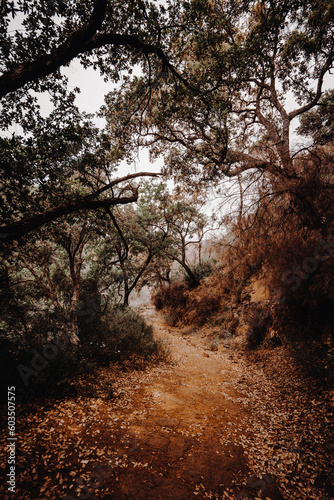 Desolate beauty: A glimpse of a dry riverbed in the Cuenca landscape