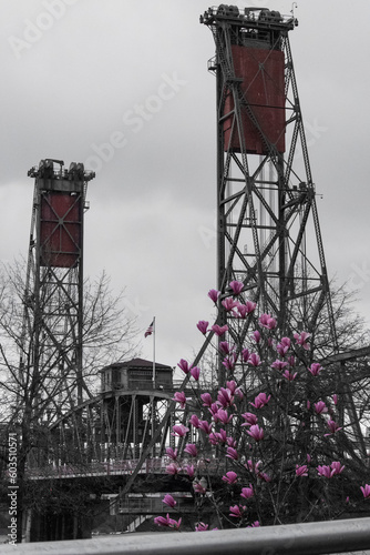Hawthorne Bridge Blooms