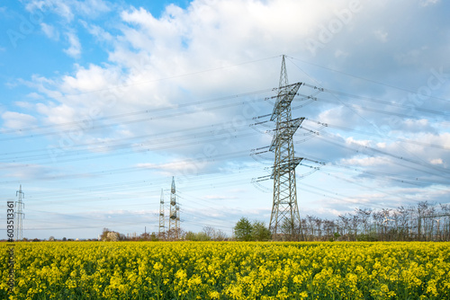 A lot of high-voltage power line, transmission tower overhead line masts, high voltage pylons as power pylons on the fields.