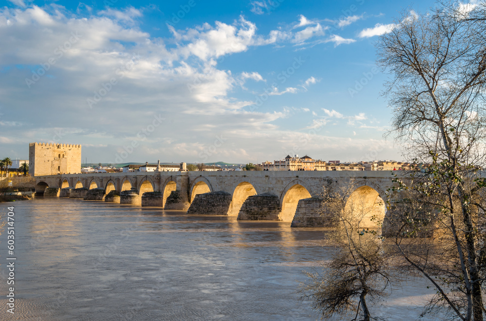 Detail of the ancient Roman bridge of Cordoba, Spain