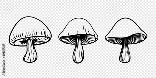 Vector Hand Drawn Cartoon Mushroom with Outline Icon Set Isolated. Mushroom Illustration, Mushrooms Collection. Magic Mushroom Symbol, Design Template