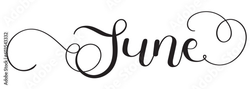 Hello JUNE. June month calligraphy vector with ornaments. Decoration calendar. Illustration month June and hello summer photo