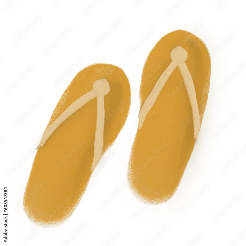 pair of slippers pair of slippers