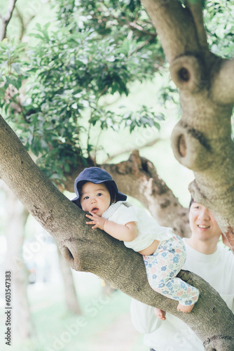 木の枝にいる赤ちゃん