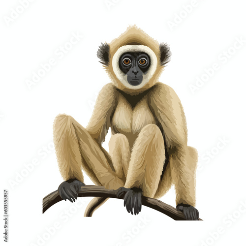 vector cute gibbon cartoon style