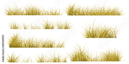 brown grass set. autumn grass. dry grass