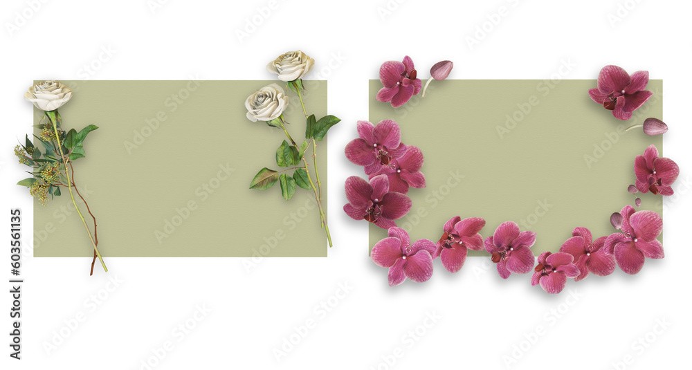 Flower on paper with transparent background