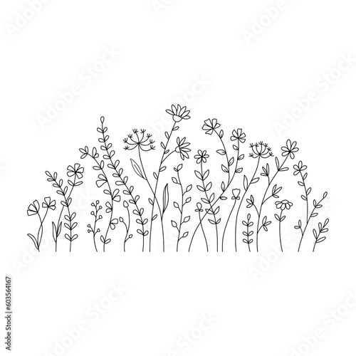 Vector wild herbs and flowers doodle illustration. Field with grass and wildflowers isolated on white background © Elena