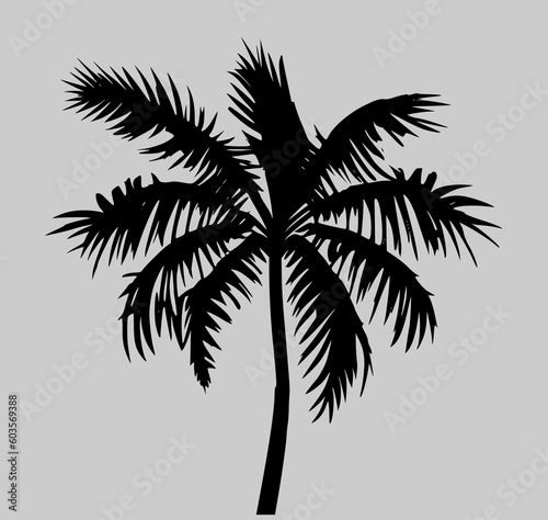Black Palm Tree with Leaves Silhouette Vector Drawing.Tropical leaf stencil shadow isolated on grey background.Posters,Cards,Photo,Overlay,Print,Vinyl wall sticker decal.Plotter laser cut.DIY. © Polina Raulina