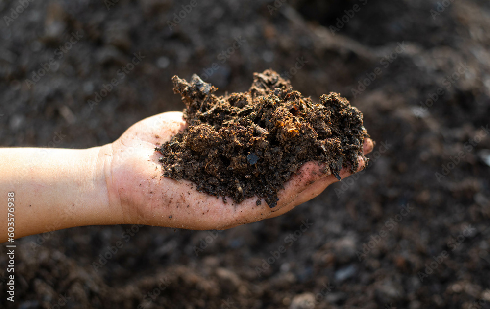 Close up hand holding organic soil for planting